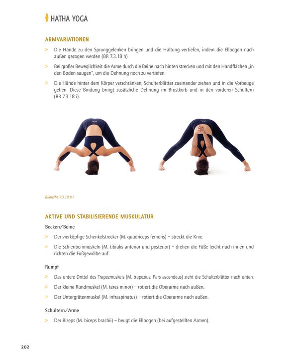 Hatha Yoga | Quelle: Meyer&Meyer