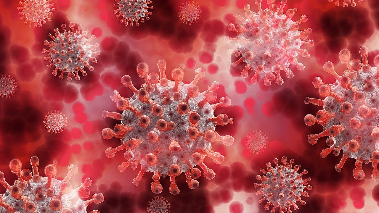 Coronavirus | Bildquelle: Pixabay