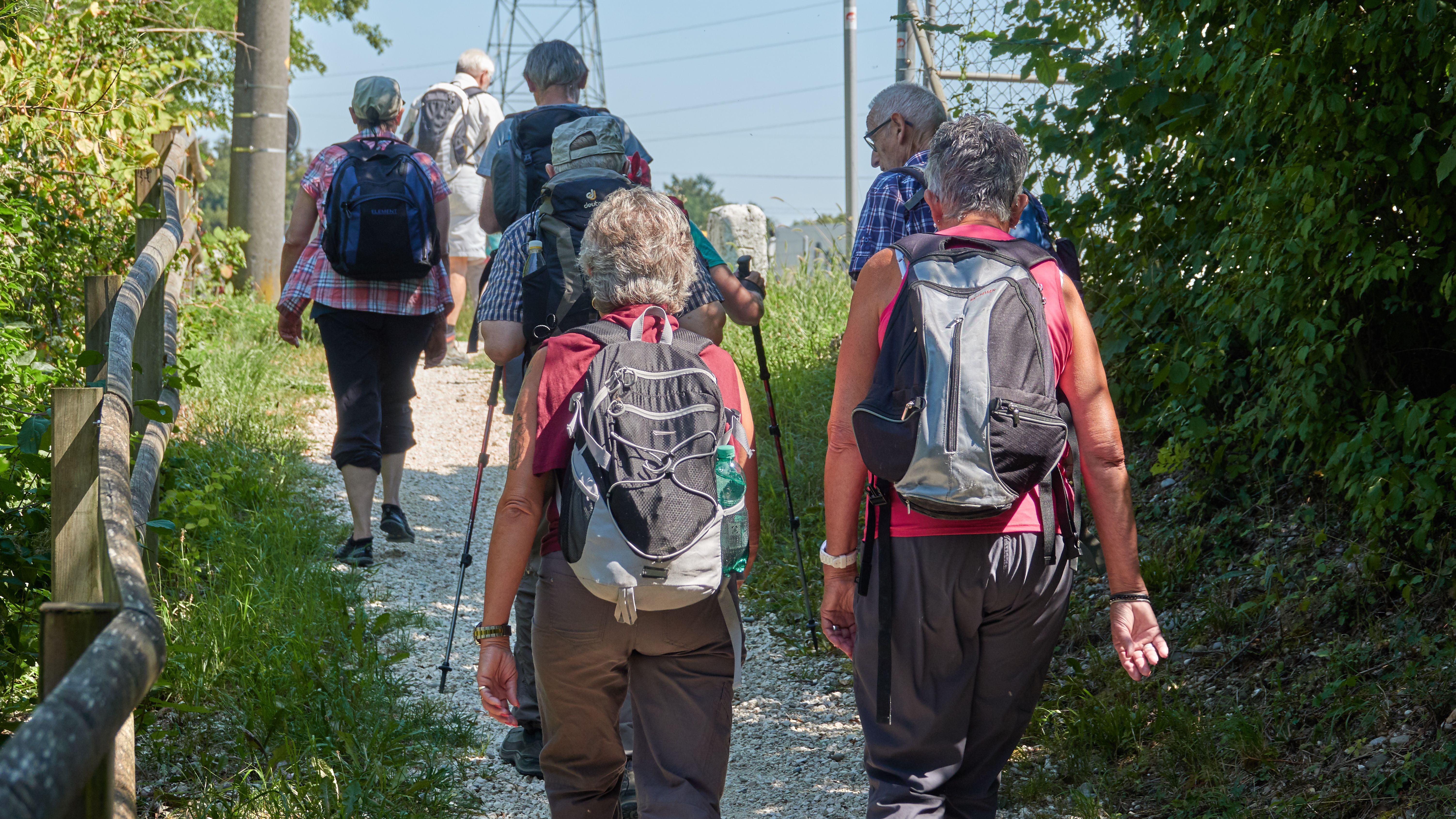 Senioren unternehmen eine Wanderung | Bildquelle:Pixabay