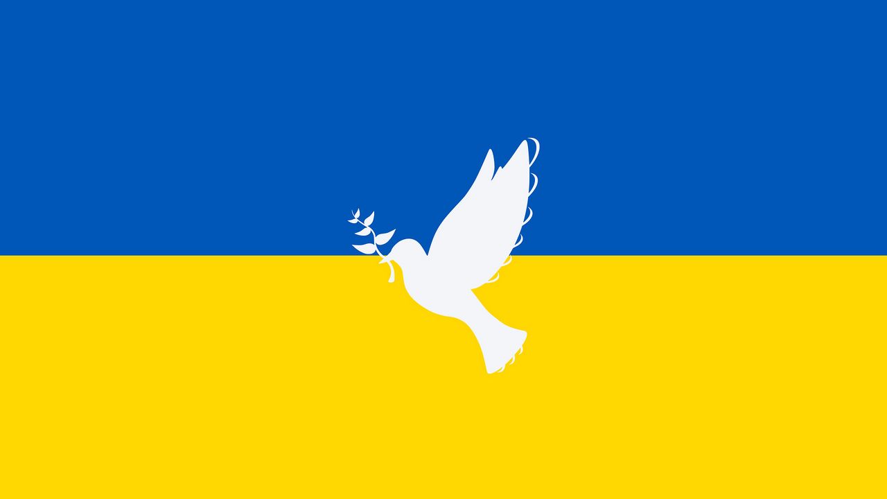 Friedenstaube Ukraine | Bildquelle: pixabay